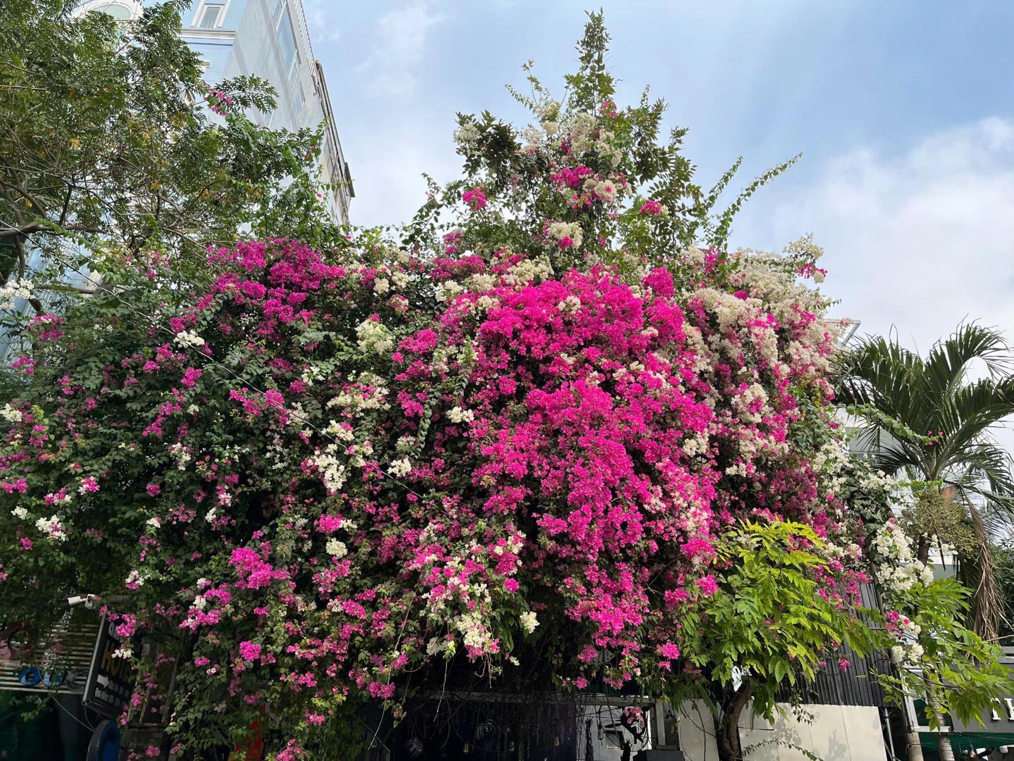 Hotel Nguyen Anh Ho-Chi-Minh-Stadt Exterior foto